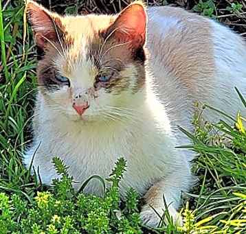 Photo of Mary
