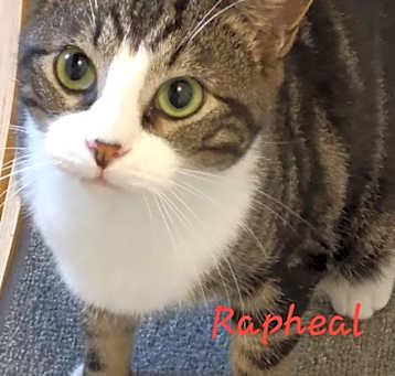 Photo of Rapheal