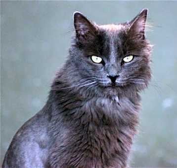 Photo of Hubbard