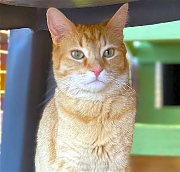 Photo of Diem