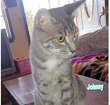 Photo of Johnny