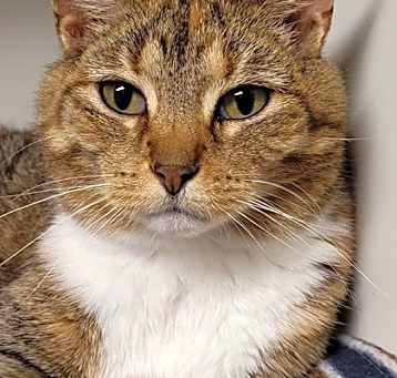 Photo of Arabella