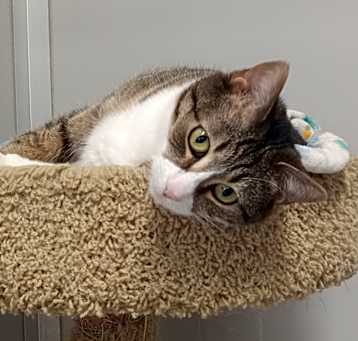 Photo of Hannah (sponsored)
