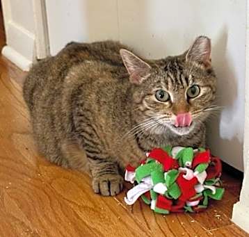 Photo of BLOSSOM