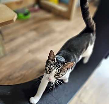 Photo of Kira