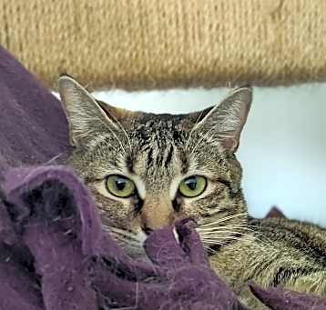 Photo of Sabine