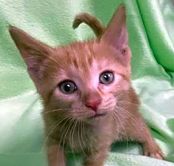 Photo of Tabatha