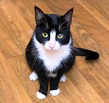 Photo of Vinny