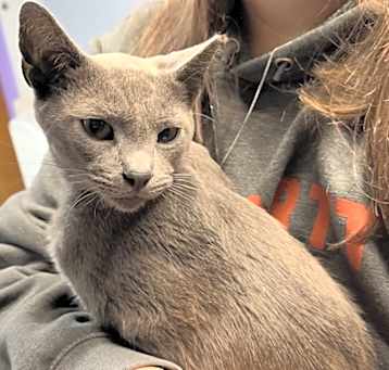 Photo of Flint