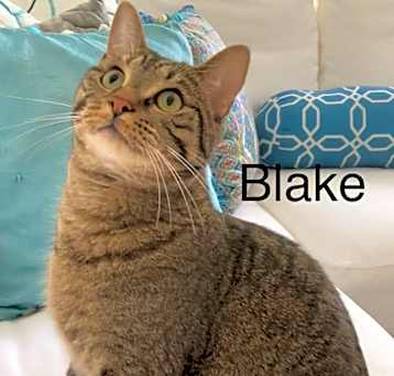 Photo of Blake
