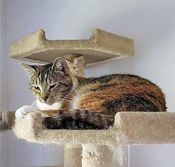Photo of Emma