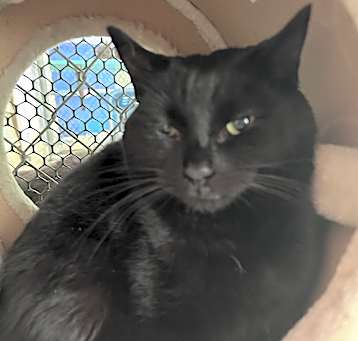 Photo of Molly