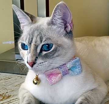 Photo of Queen Guinevere