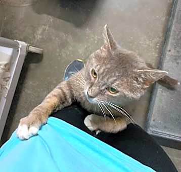 Photo of Earnest