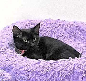 Photo of Cindy
