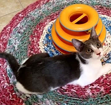 Photo of Molly
