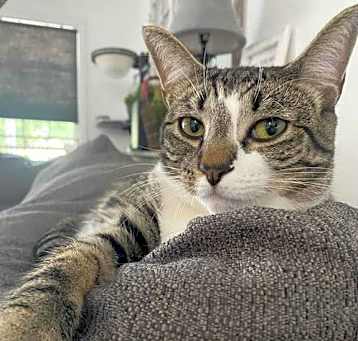 Photo of Jammi Lou