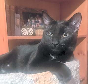 Photo of Charlie