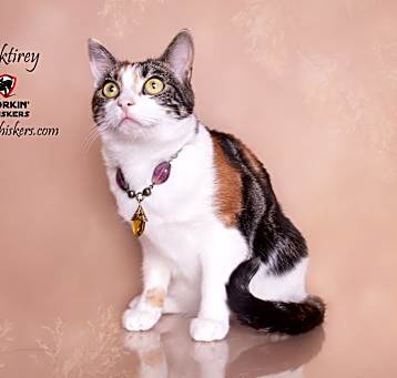 Photo of TUKTIREY