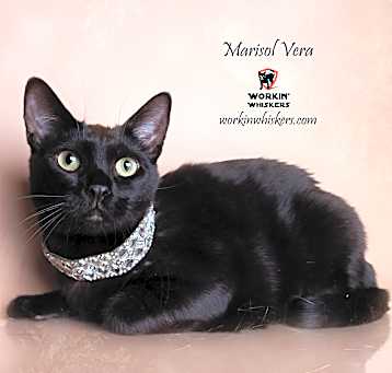 Photo of MARISOL VERA