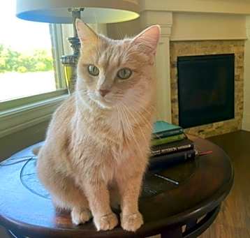 Photo of Buffy Jo