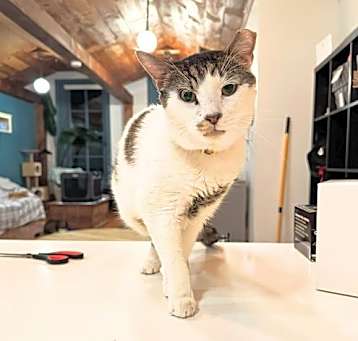 Photo of A boy called Samson