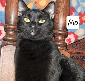 Photo of Mo