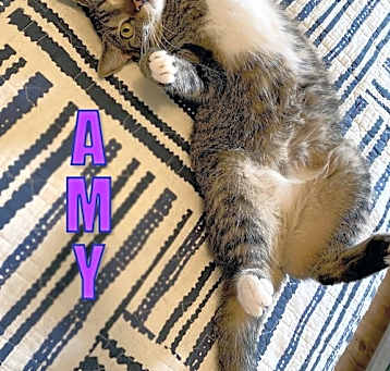 Photo of Amy
