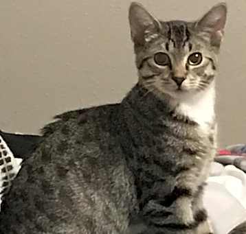 Photo of Roo