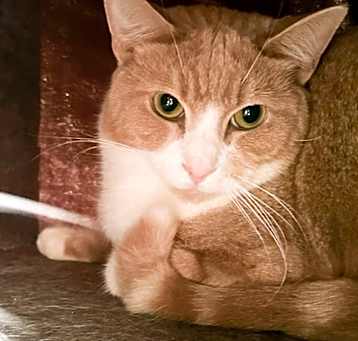 Photo of Artie