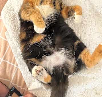 Photo of Athena and Bud