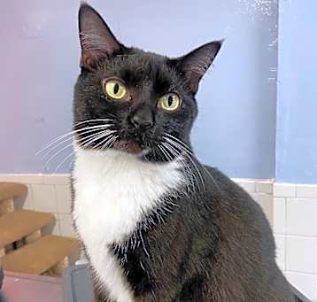 Photo of El Amigo
