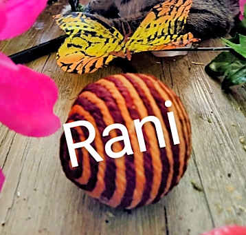 Photo of Rani