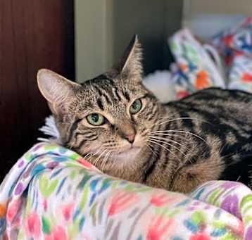 Photo of Ellie