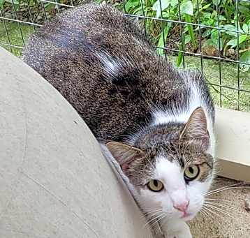 Photo of Flynn