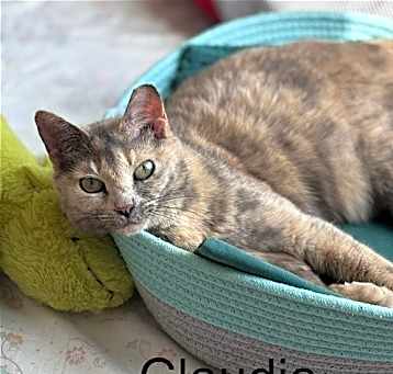 Photo of Claudia