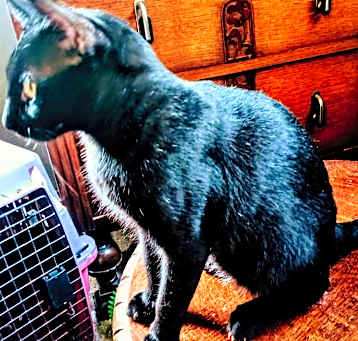 Photo of Spooky
