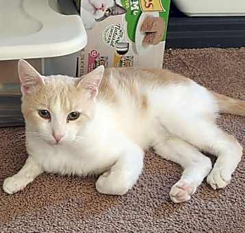 Photo of Charlie