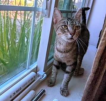 Photo of Miss Pati Patience