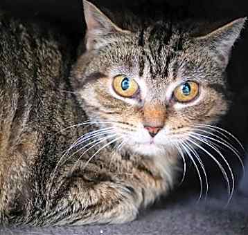 Photo of Missy