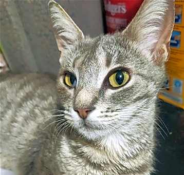 Photo of CANDY
