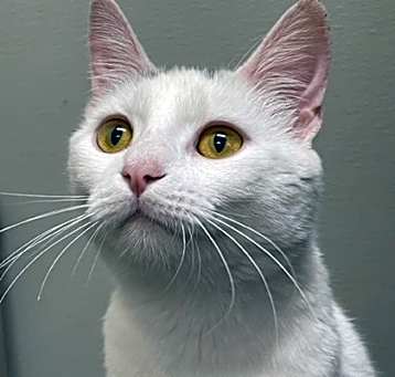 Photo of Jeanette