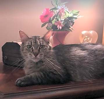 Photo of Miss Peggy