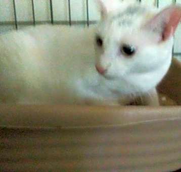 Photo of Isabell