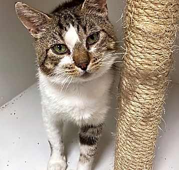 Photo of Buster