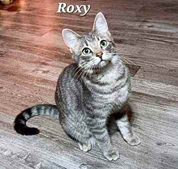 Photo of Roxy [CP]
