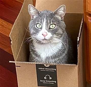 Photo of Gary