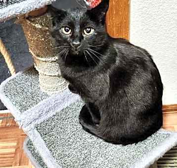 Photo of Reece Whiskerspoon