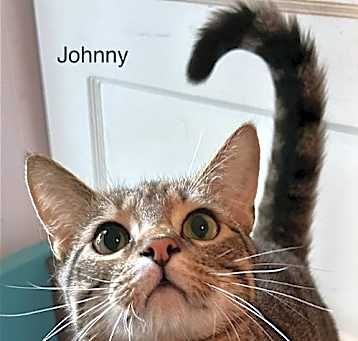 Photo of Johnny