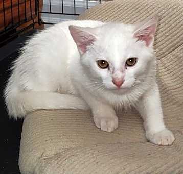 Photo of Grady
